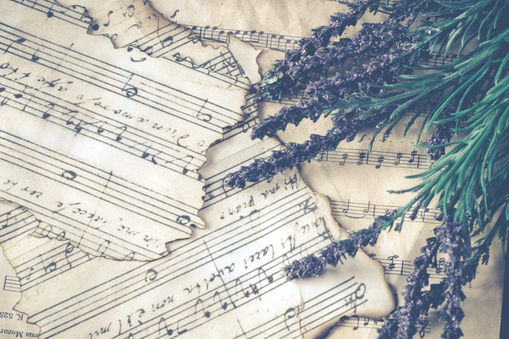 Musikalische Dienstleistungen - Noten - Lavendel