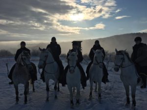 Schnee & schneeweiße Pferde