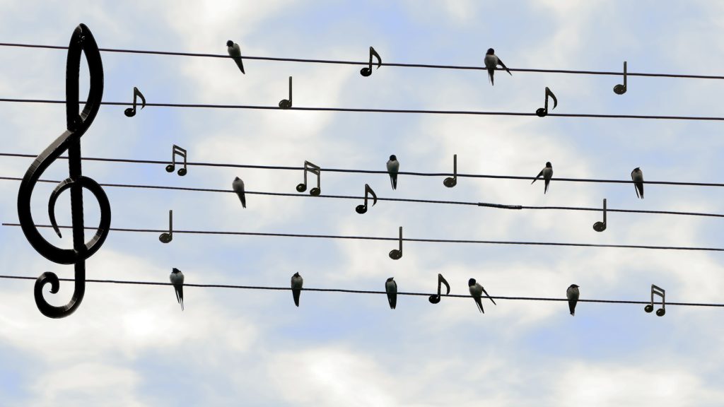 Gesang - Gesangsunterricht - Vögel und Noten